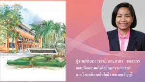 ภาพประกอบเว็บไซต์